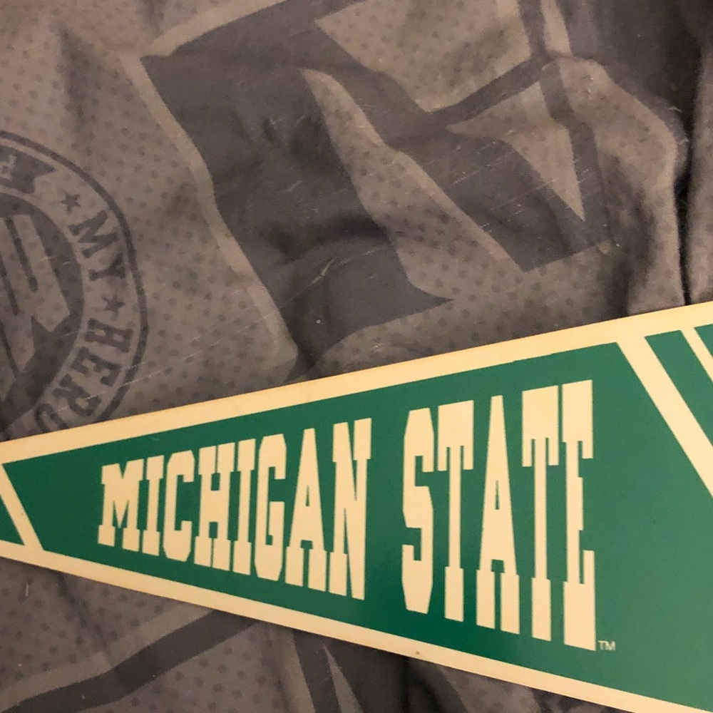 Gray Michigan State banner - Picture 3 of 4